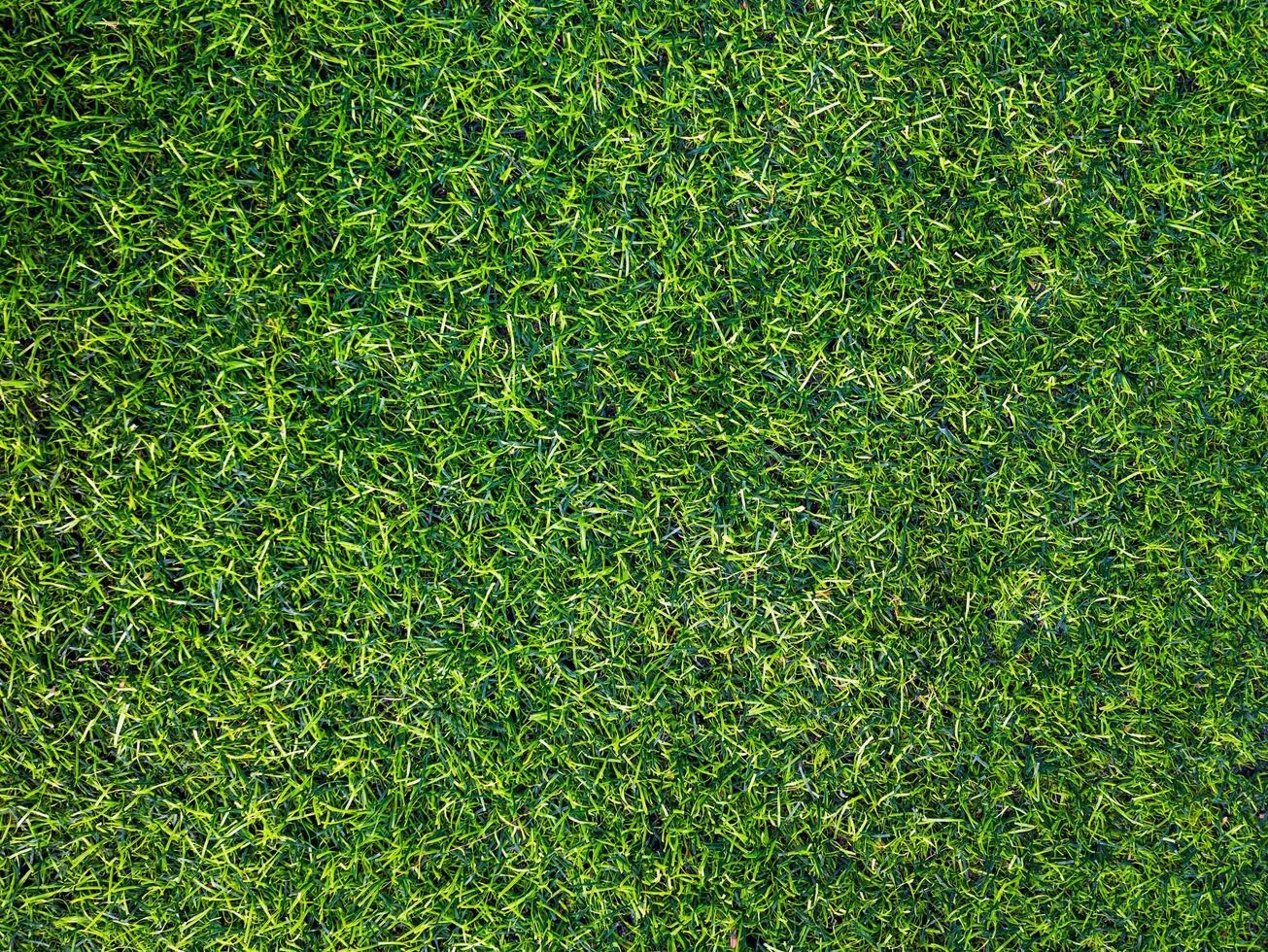 Green grass texture background and grass garden mockup concept photo
