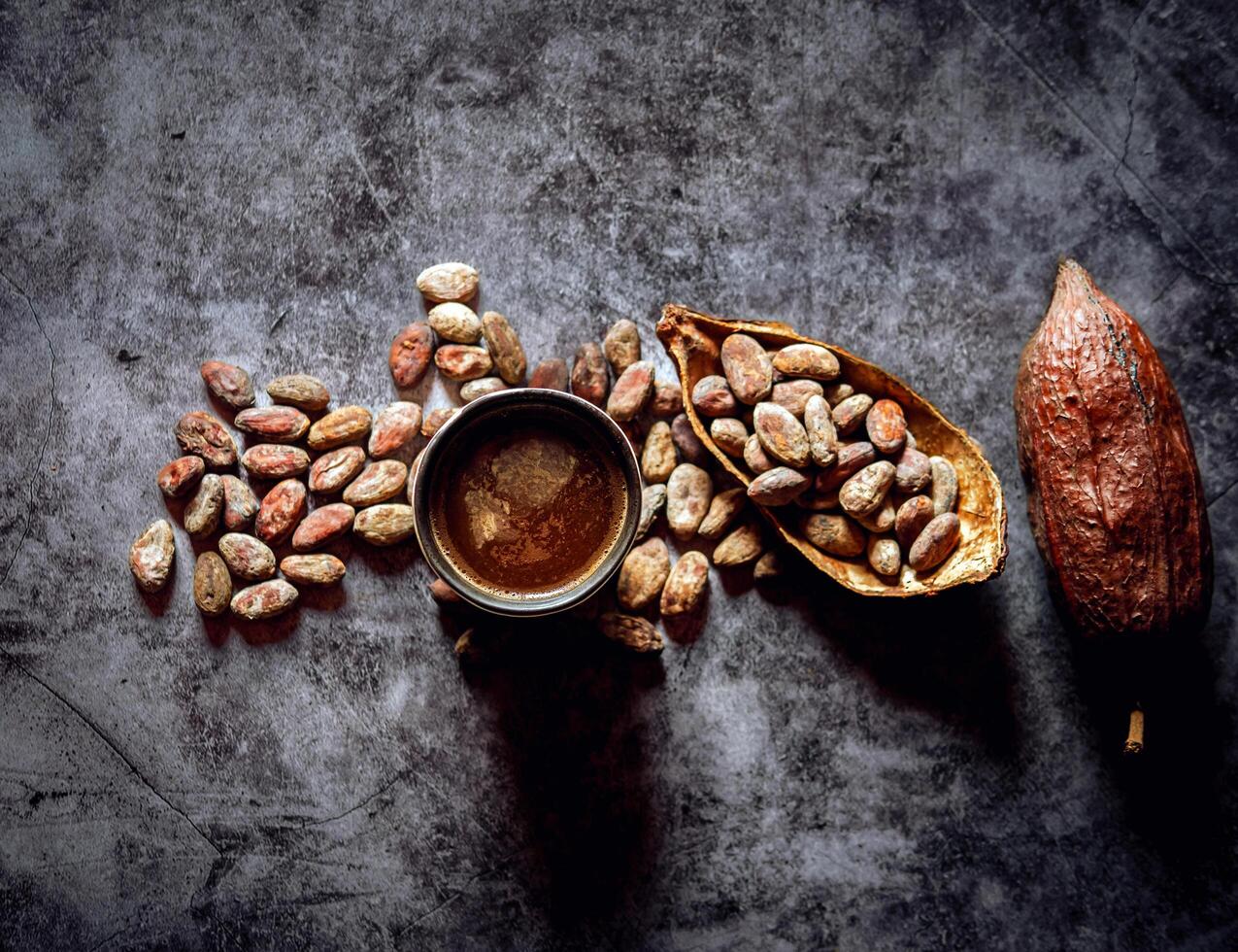 Natural craft cocoa drink, organic healthy chocolate drink with brown cocoa beans and dry cacao pod.Top view,above photo