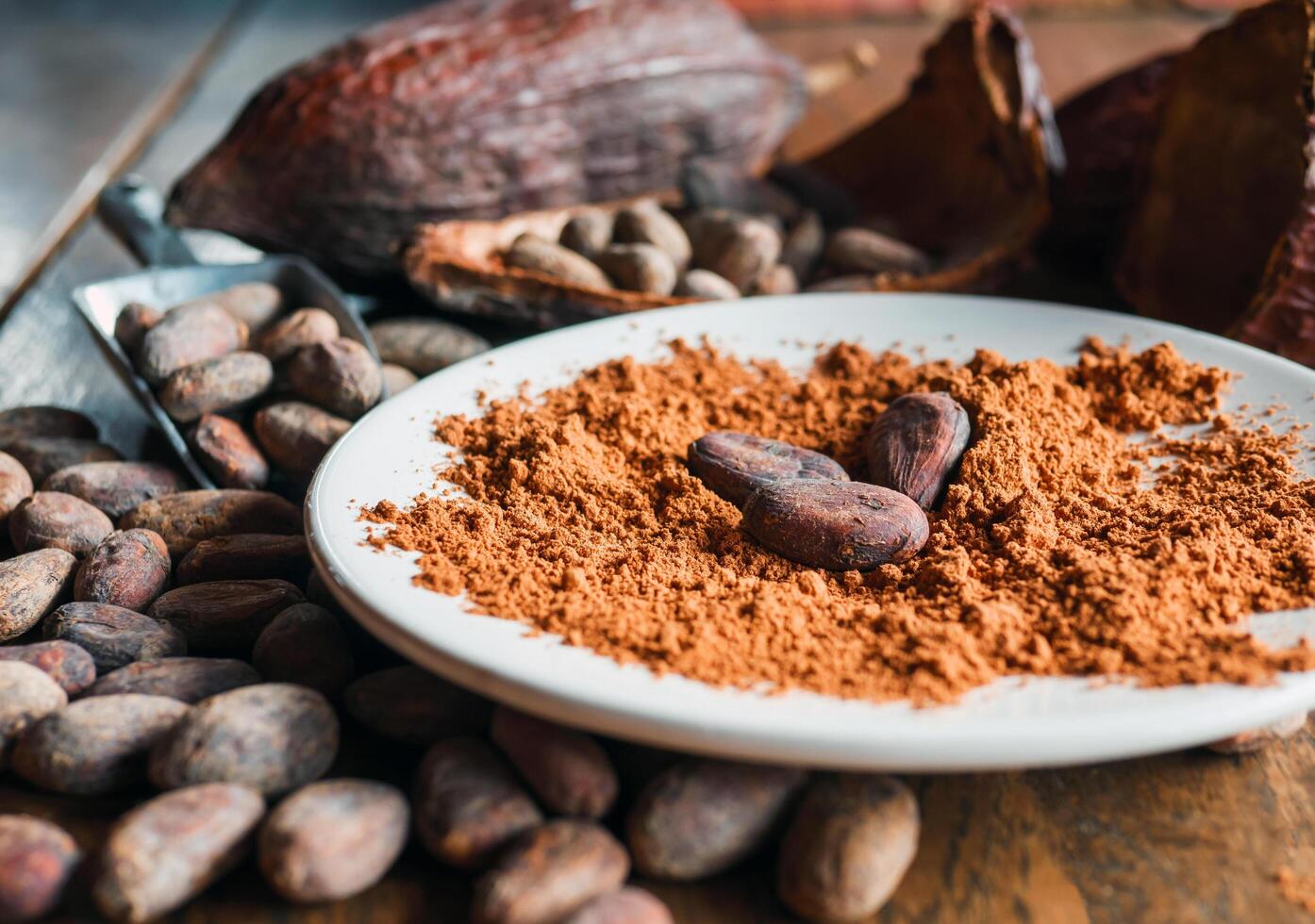 Close-up of Natural cocoa powder with brown cocoa beans and dry cacao pod on a vintage wooden table. photo