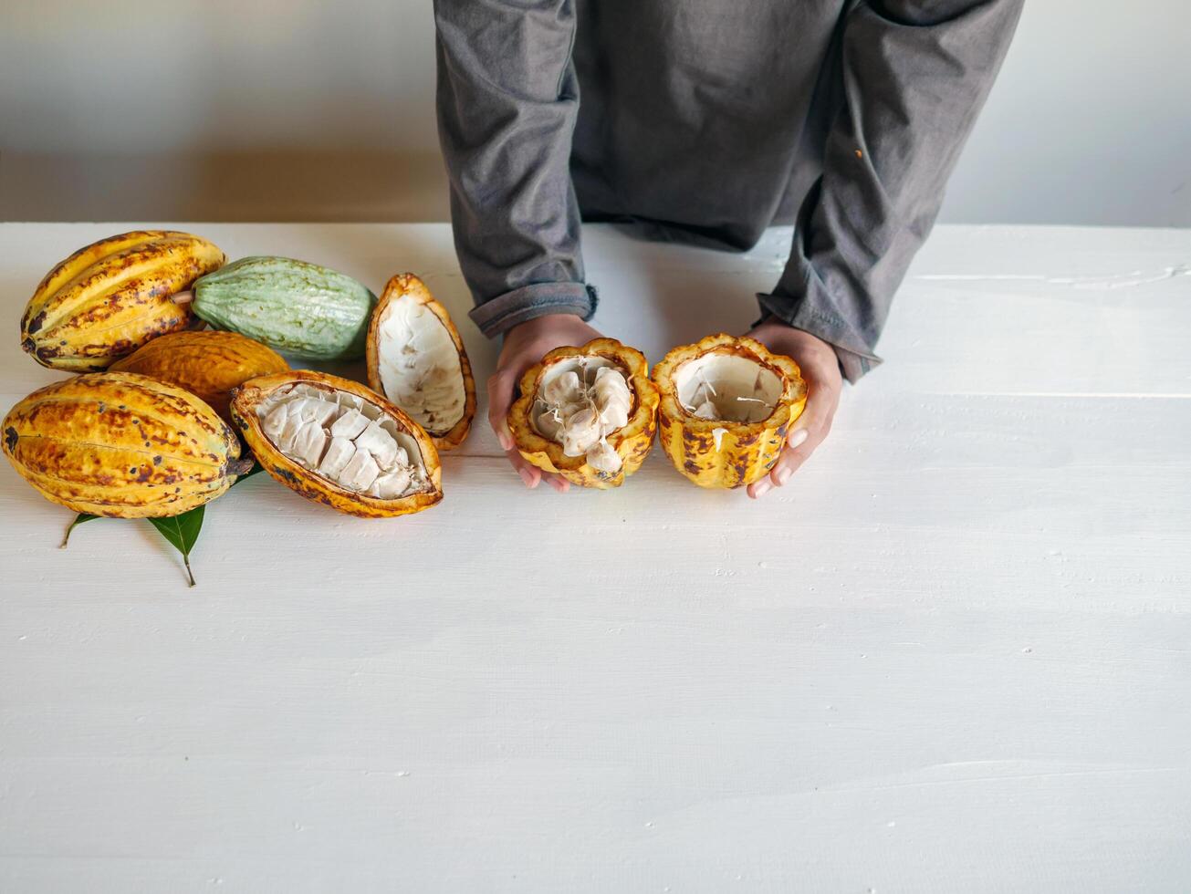 Healthy lifestyle, Cut in half fresh yellow ripe cacao pods reveals cacao beans, slide cacao fruit in the hands of teenagers photo