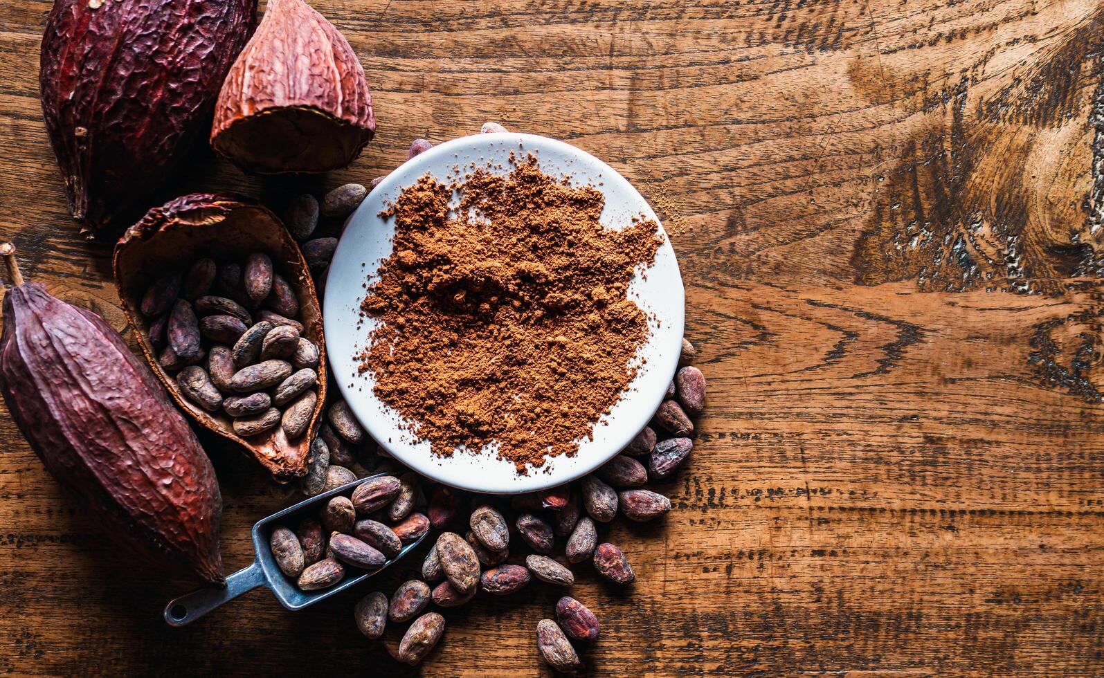 Top view of Natural cocoa powder with brown cocoa beans and dry cacao pod on a vintage wooden table. photo