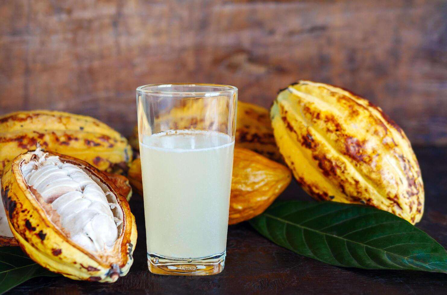 Fresh cacao water in glass and half sliced ripe yellow cacao pod with white cocoa seed, Cacao juice in glass on vintage wooden background photo