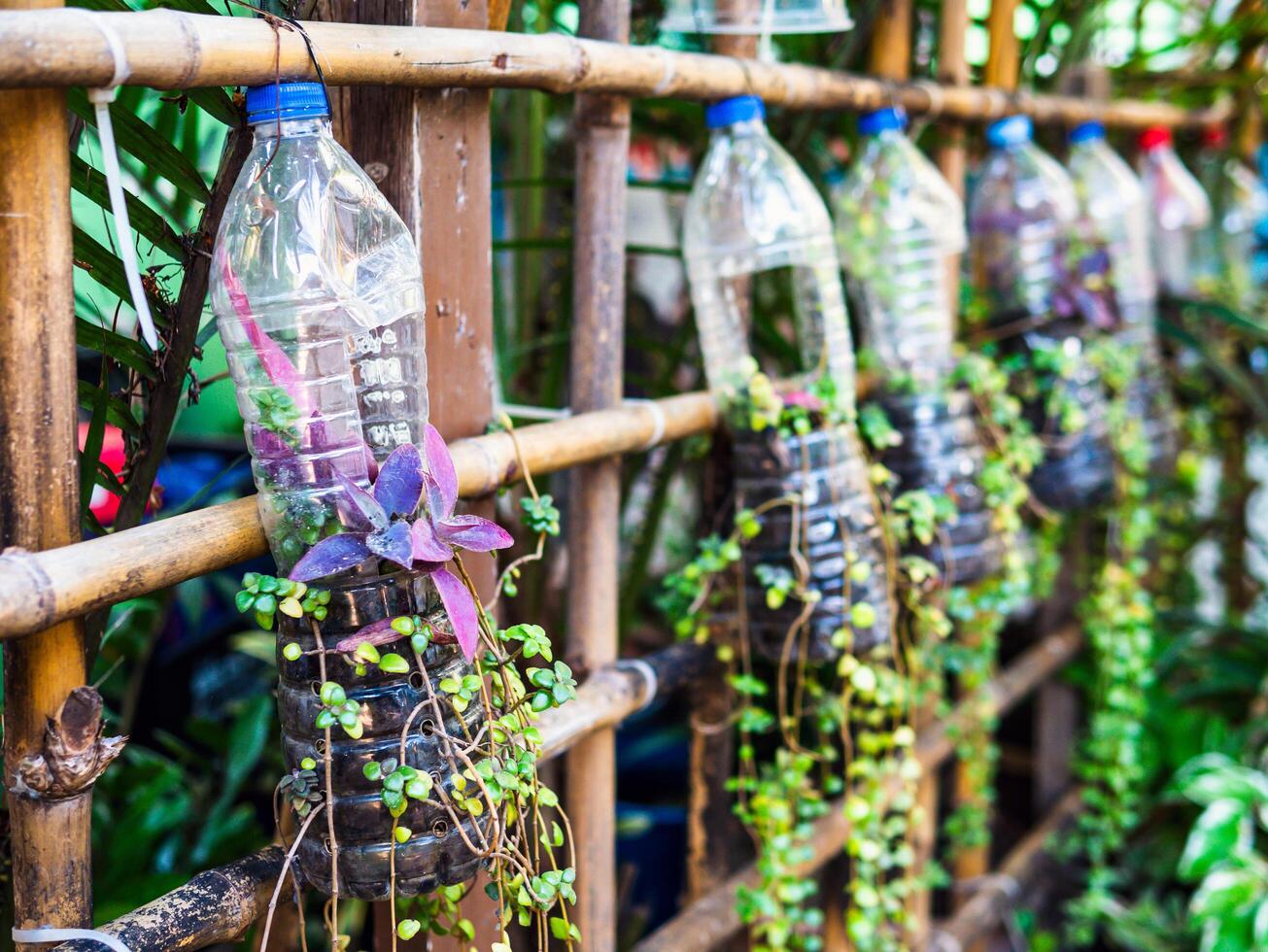 Creative ideas for making plant holders from recycled plastic bottles. These can be used to decorate your garden or home while reducing packaging waste. photo