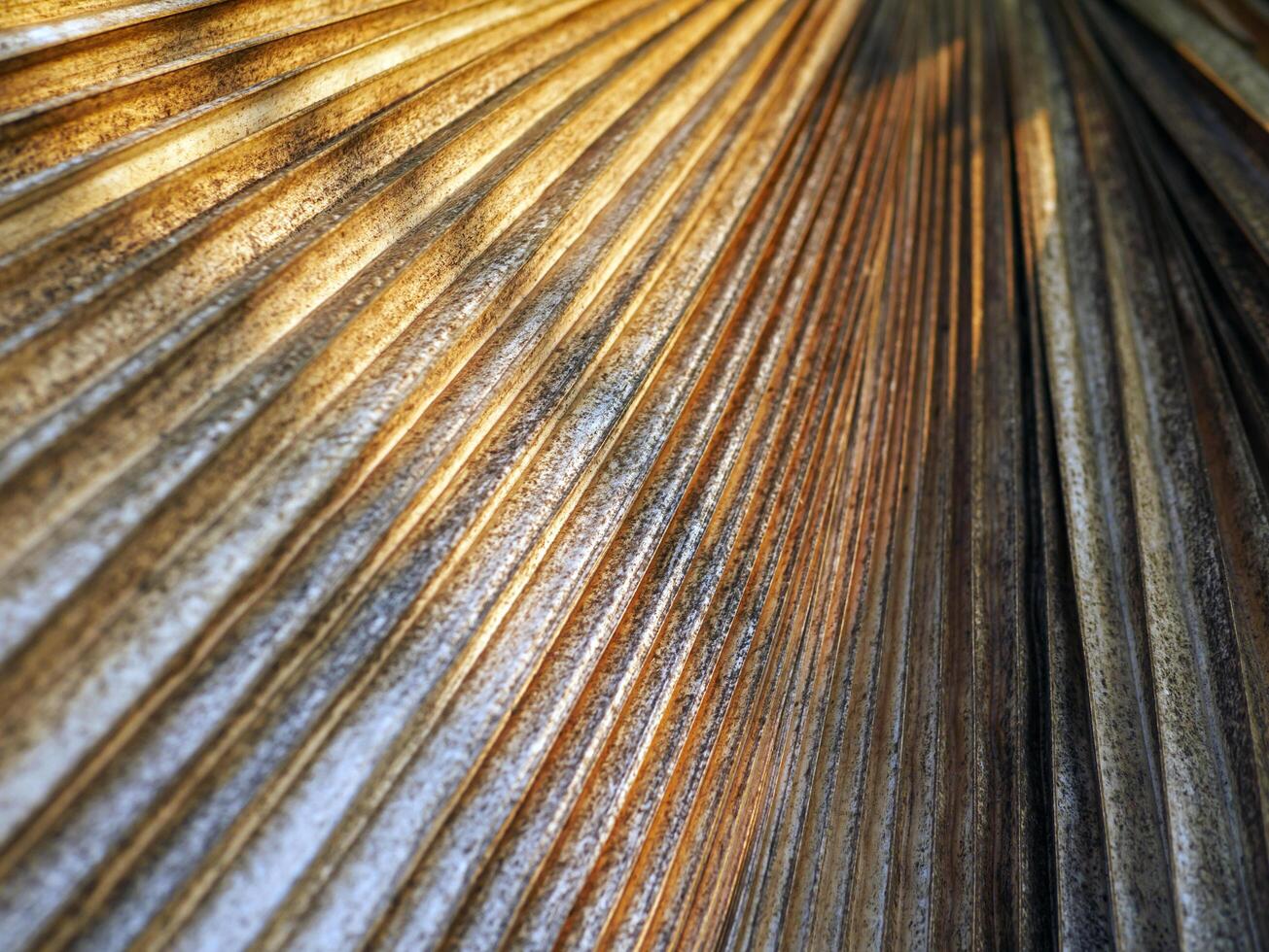 abstract dry leaf straight line pattern and Sunlight on brown leaf surface. close-up photo