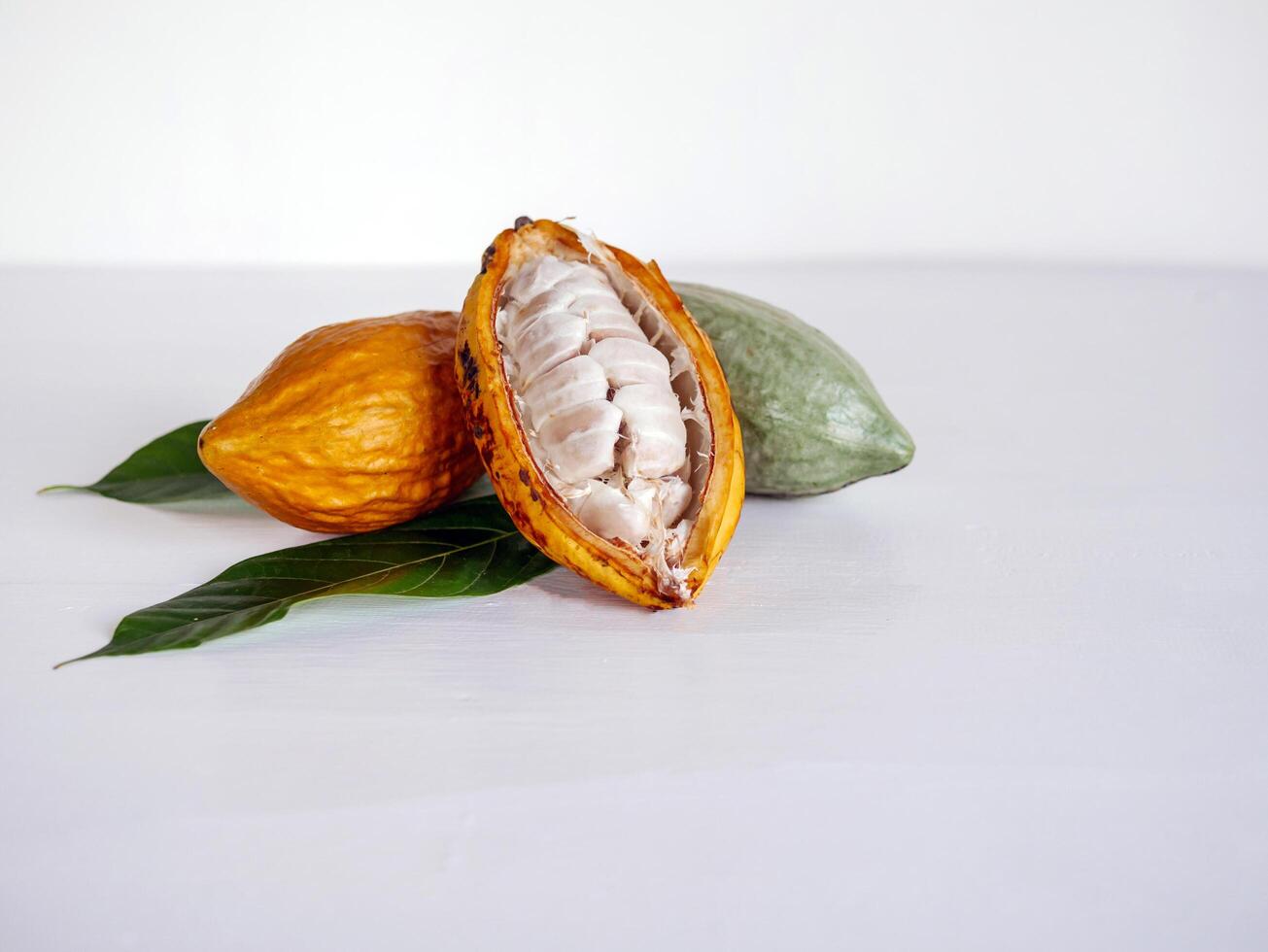 Half sliced ripe yellow cacao pod with white cocoa seed ,Cut in half fresh ripe cacao and green raw cacao fruit on white wooden background photo