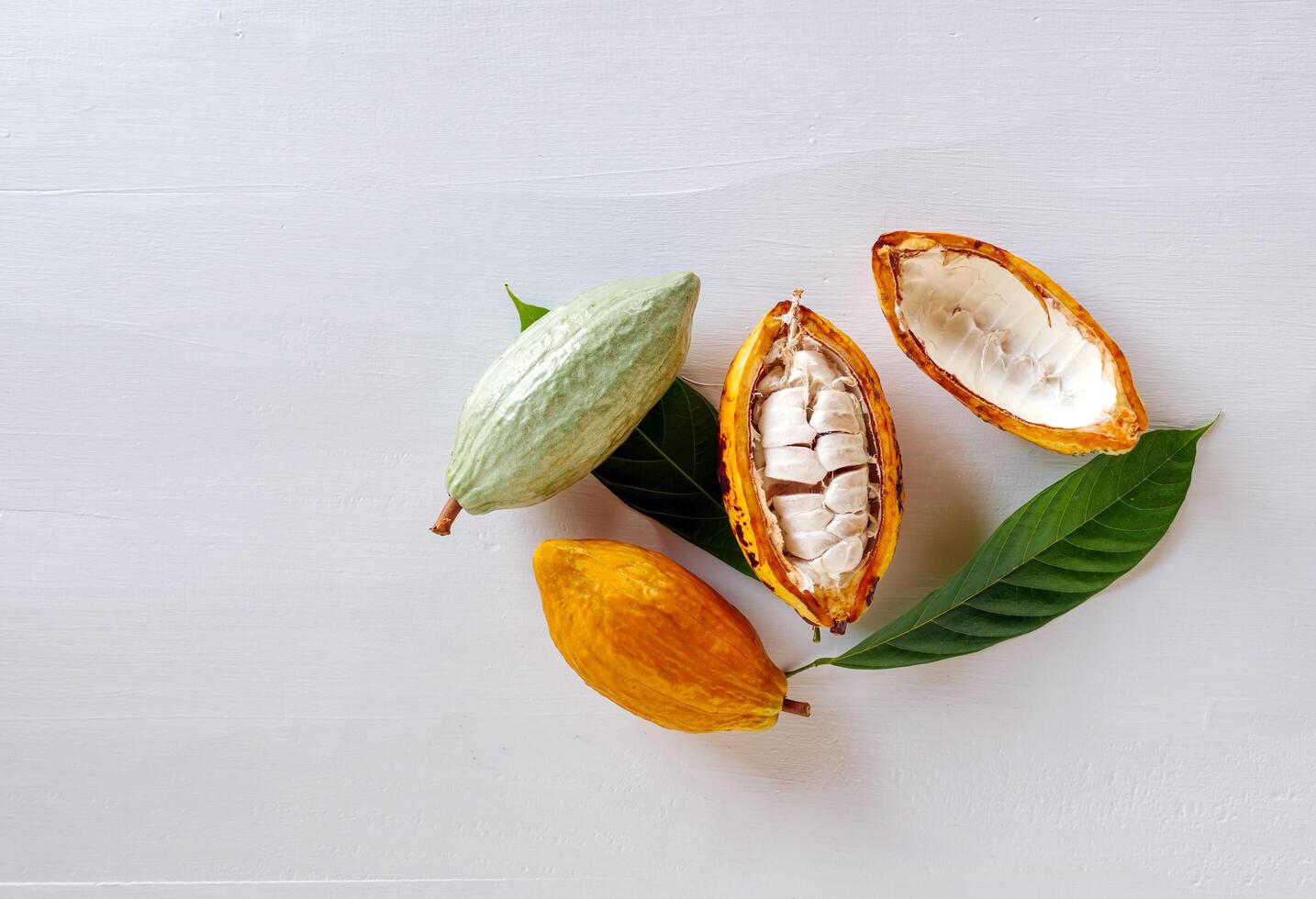 Top view of half sliced ripe yellow cacao pod with white cocoa seed ,Cut in half fresh ripe cacao and green raw cacao fruit on white wooden background photo