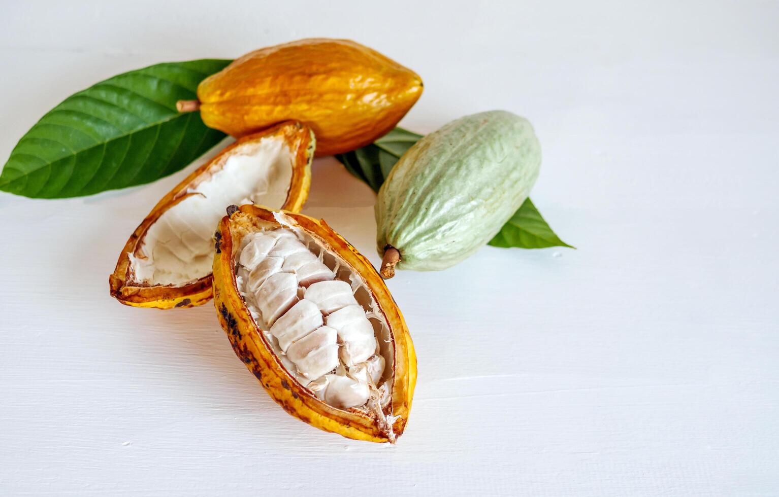 Half sliced ripe yellow cacao pod with white cocoa seed ,Cut in half fresh ripe cacao and green raw cacao fruit on white wooden background photo