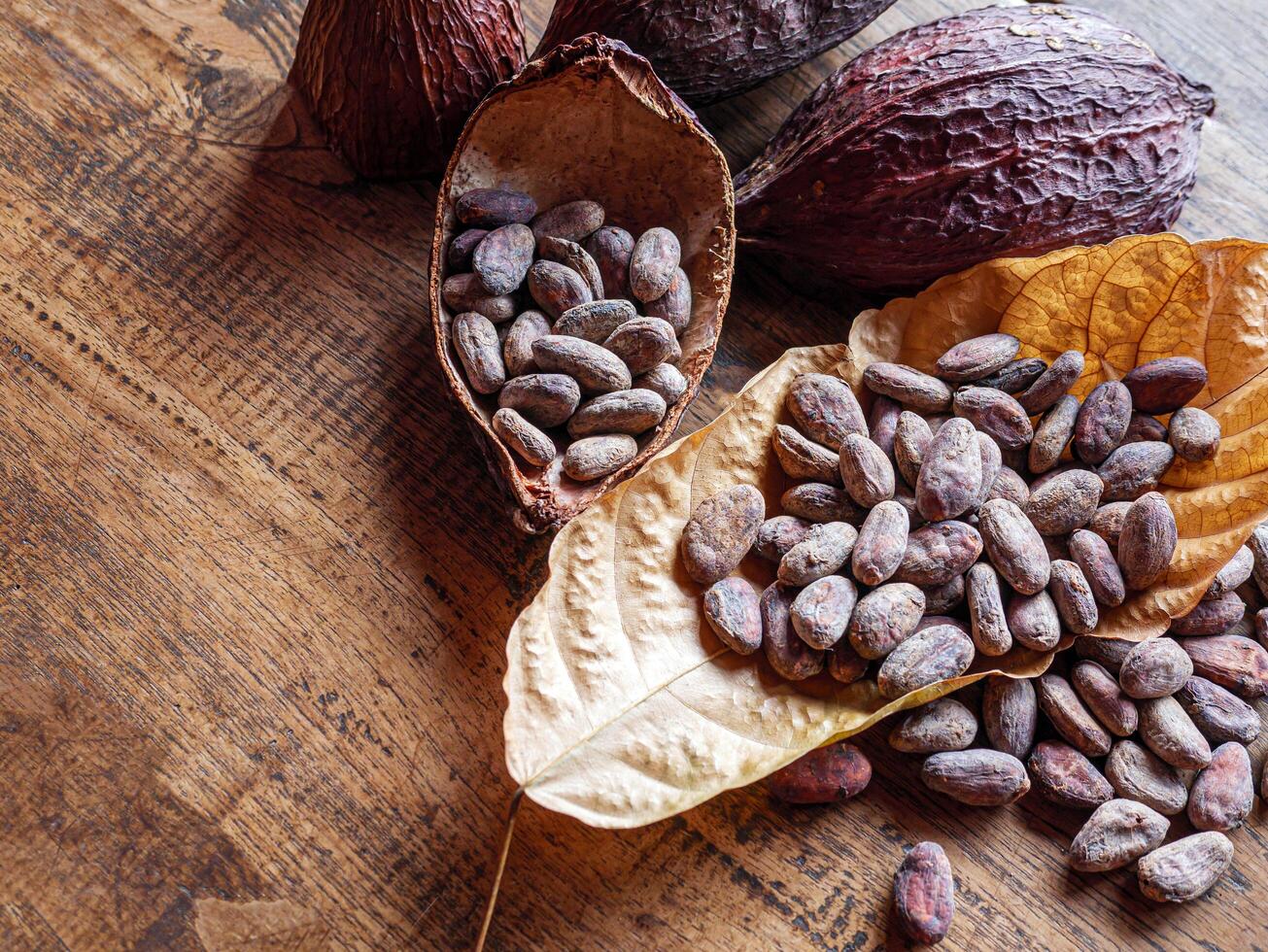 Close-up of brown cocoa beans on dry cocoa leaf and dry cacao pod on a rustic wooden table. photo