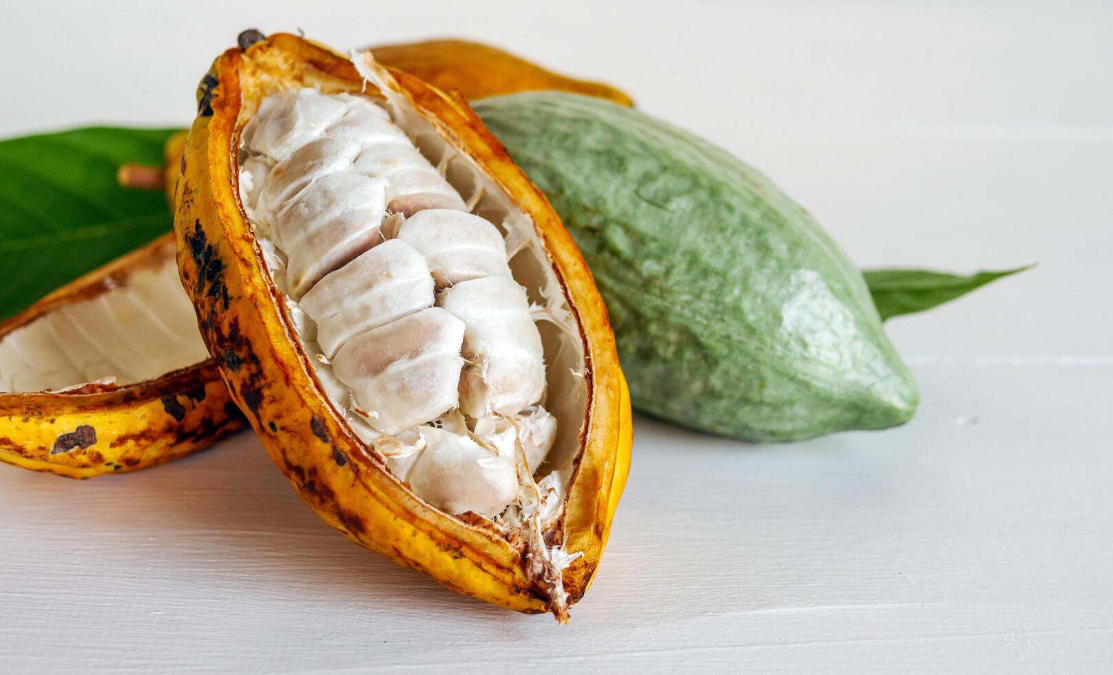Half sliced ripe yellow cacao pod with white cocoa seed ,Cut in half fresh ripe cacao and green raw cacao fruit on white wooden background photo