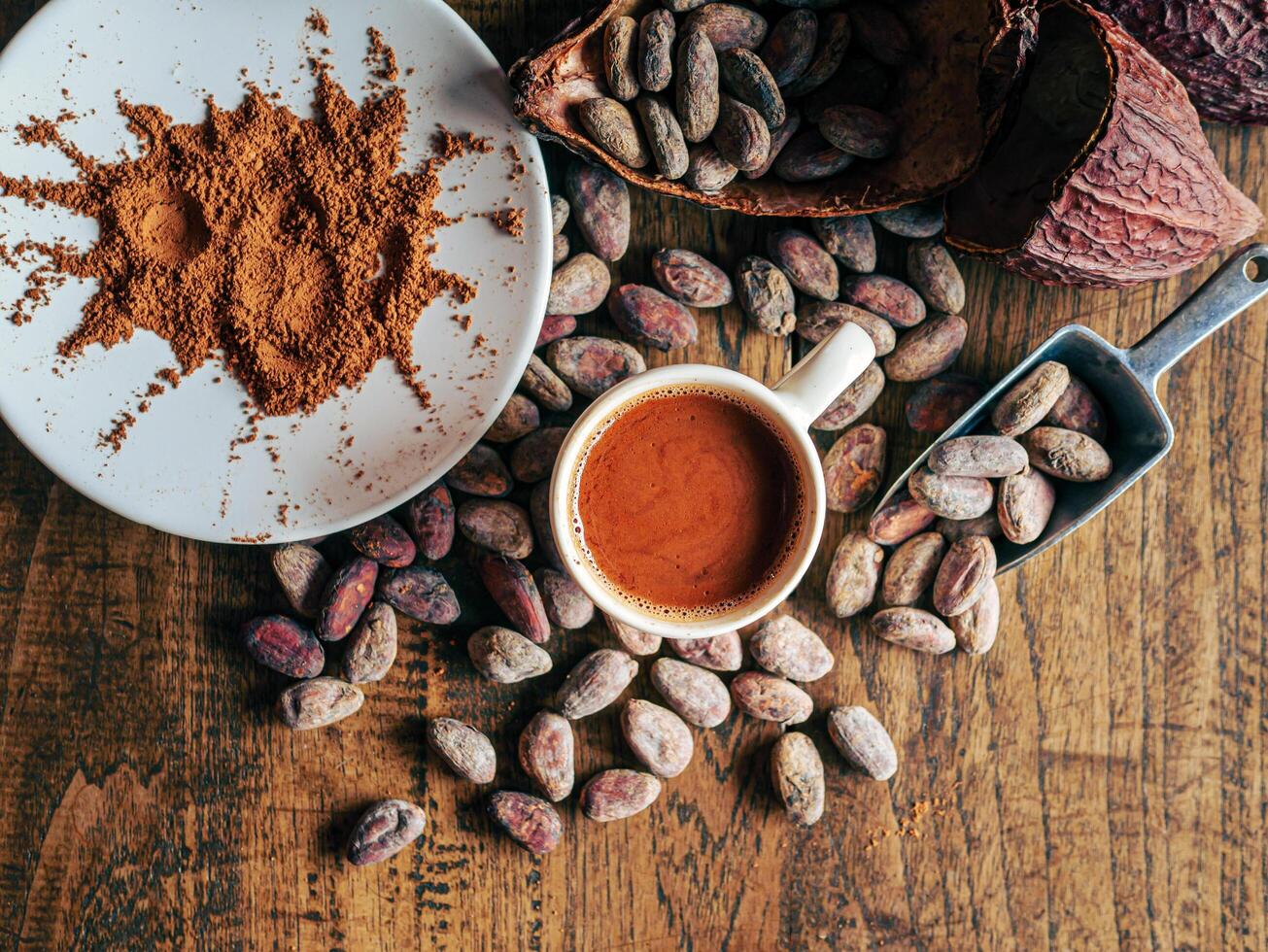Top view of hot chocolate drink,cocoa drink and natural cocoa powder with brown cocoa beans and dry cacao pod on a vintage wooden table. photo
