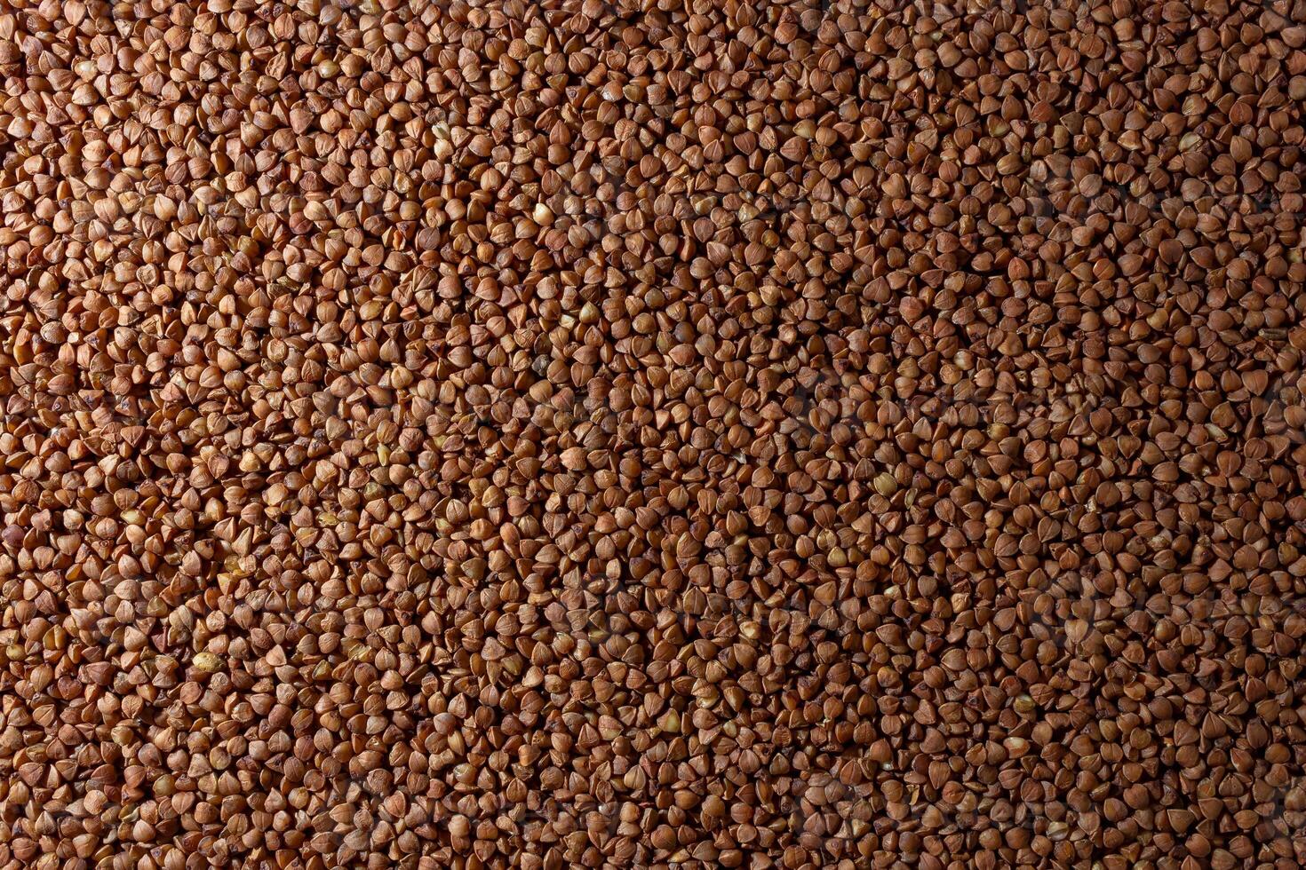 Dry Uncooked Brown Buckwheat Groats Background - Top View, Flat Lay. Raw Large Buckwheat Grains. Russian, Ukrainian and Belarusian Culture photo