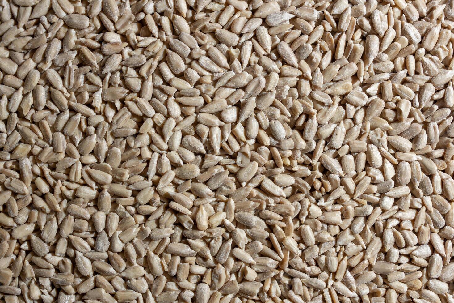 Peeled Sunflower Seeds Background. A Culinary Canvas of Shell-free Sunflower Seeds, Creating a Lively and Textured Background for Gourmet Cooking - Top View, Flat Lay photo