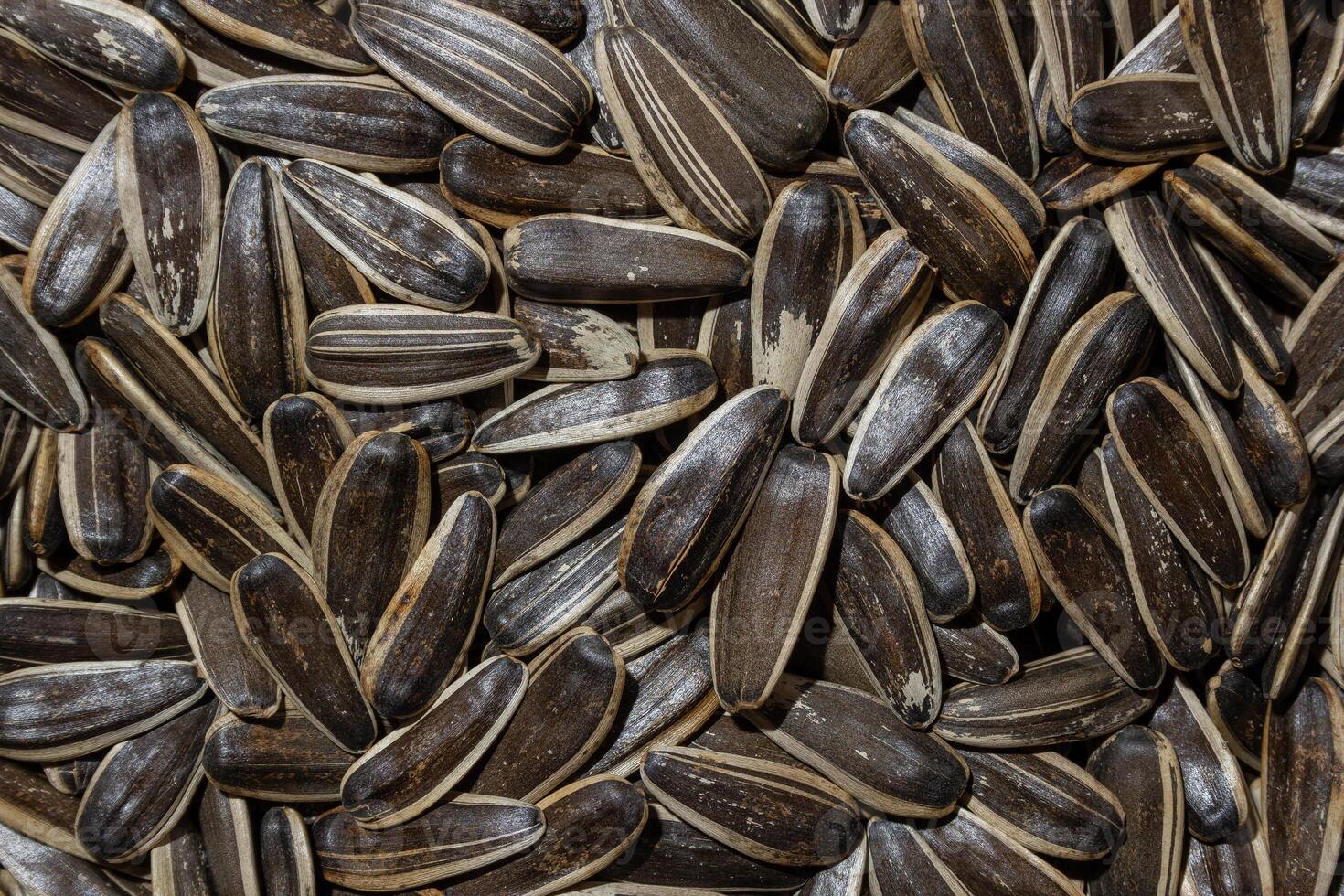 Non Salty Roasted Sunflower Seeds in Shell. A Culinary Canvas of Sunflower Kernels, Creating a Lively and Textured Background for Gourmet Cooking. Scattered Sun Flower Seeds - Top View, Flat Lay photo