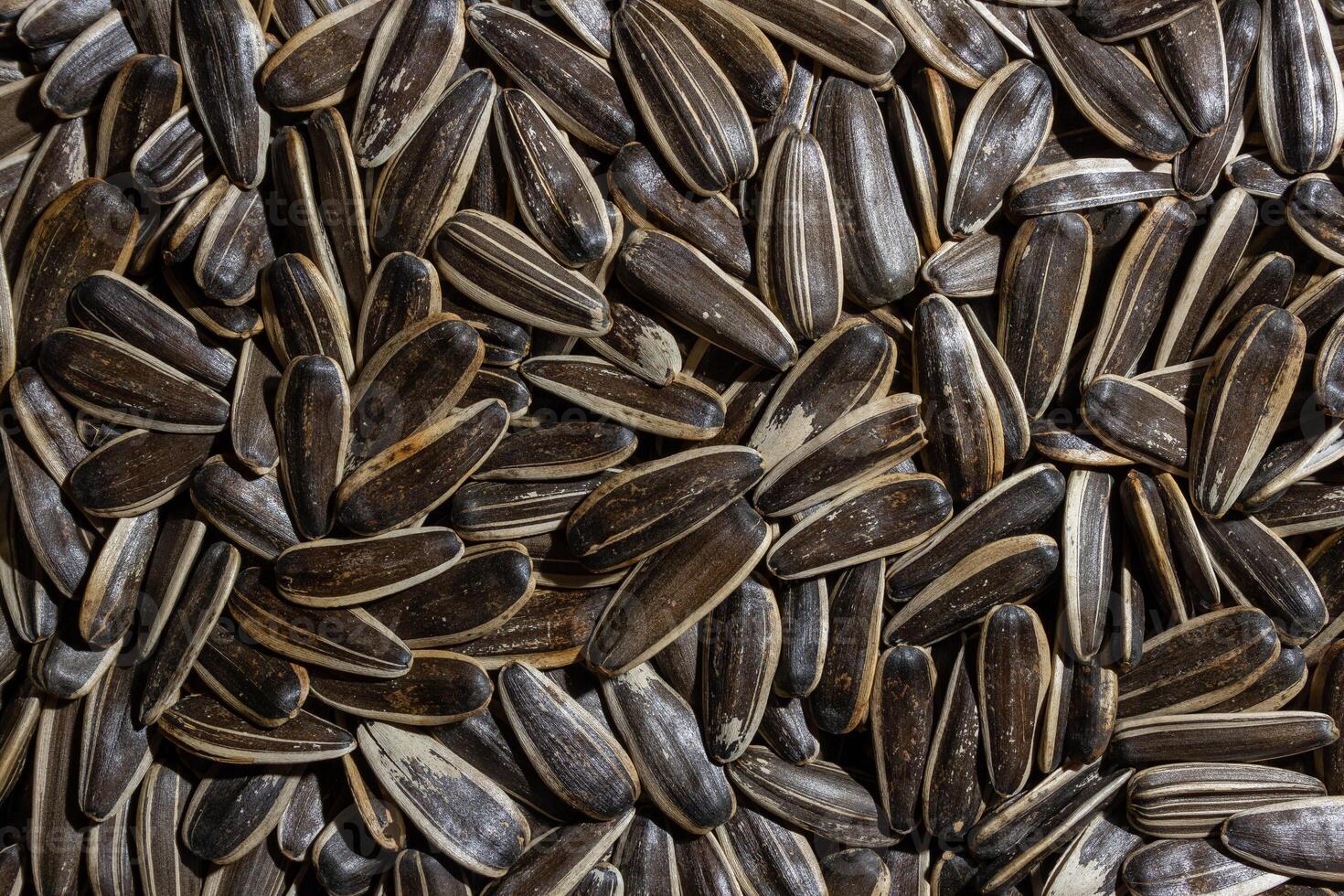 Non Salty Roasted Sunflower Seeds in Shell. A Culinary Canvas of Sunflower Kernels, Creating a Lively and Textured Background for Gourmet Cooking. Scattered Sun Flower Seeds - Top View, Flat Lay photo