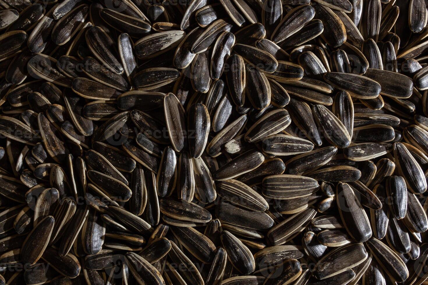 Non Salty Roasted Sunflower Seeds in Shell. A Culinary Canvas of Sunflower Kernels, Creating a Lively and Textured Background for Gourmet Cooking. Scattered Sun Flower Seeds - Top View, Flat Lay photo
