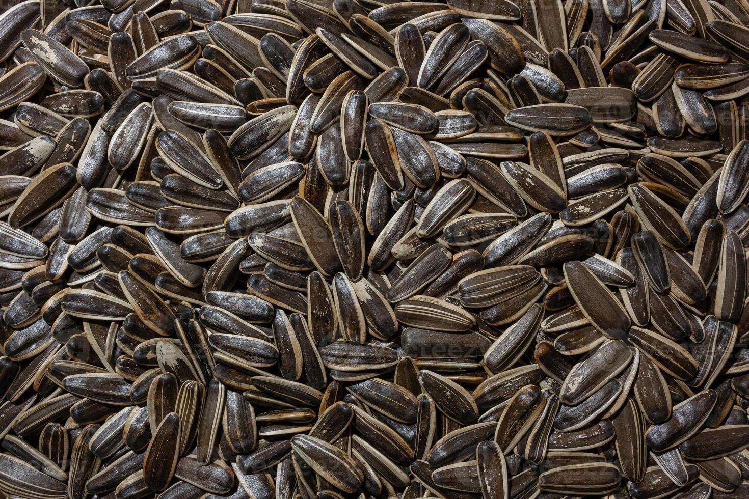 Non Salty Roasted Sunflower Seeds in Shell. A Culinary Canvas of Sunflower Kernels, Creating a Lively and Textured Background for Gourmet Cooking. Scattered Sun Flower Seeds - Top View, Flat Lay photo