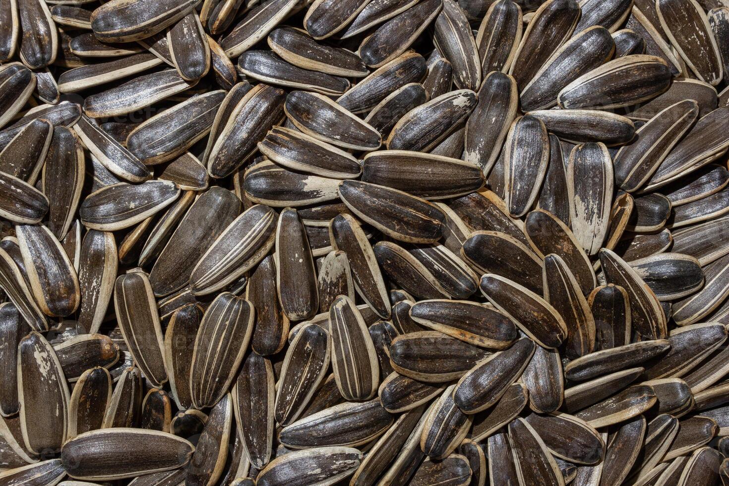 Non Salty Roasted Sunflower Seeds in Shell. A Culinary Canvas of Sunflower Kernels, Creating a Lively and Textured Background for Gourmet Cooking. Scattered Sun Flower Seeds - Top View, Flat Lay photo