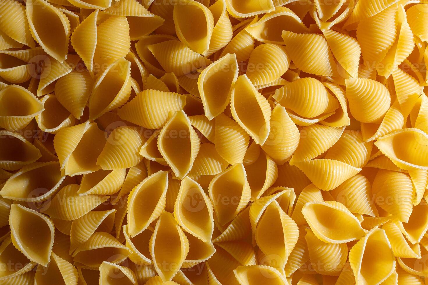 Uncooked Conchiglie Pasta. A Culinary Canvas of Conchiglie Macaroni, Creating a Lively and Textured Background for Gourmet Cooking. Dry Pasta. Raw Macaroni - Top View, Flat Lay photo