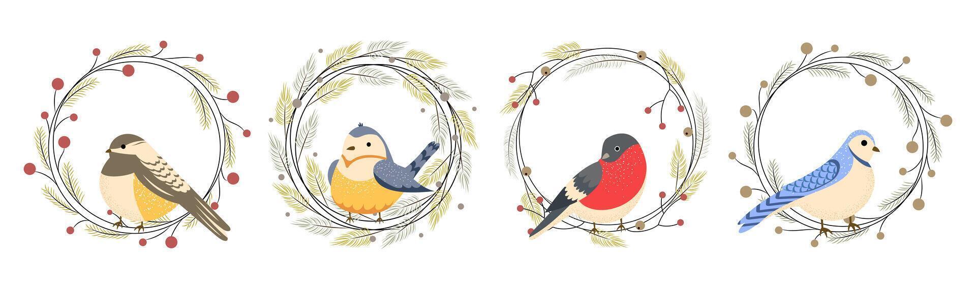 Set of Christmas wreaths with branches and berries and winter birds. illustration vector
