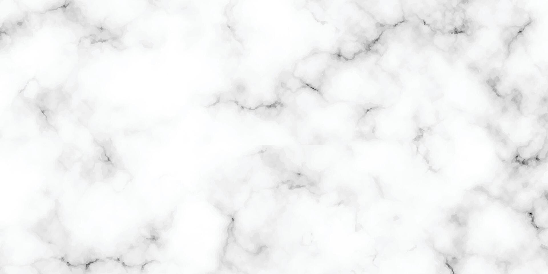 White marble pattern texture for background. Natural patterns for design art work, Stone wall texture background. Seamless pattern of tile stone with bright and luxury. White Carrara marble stone text vector