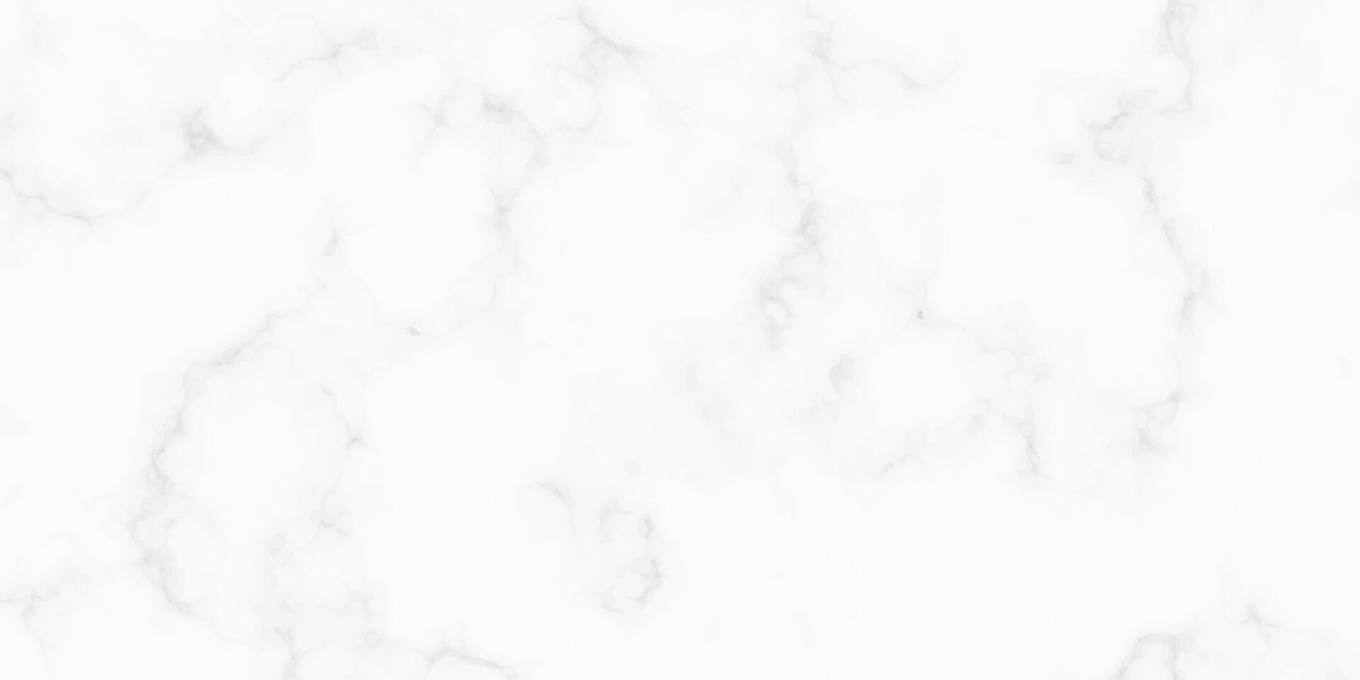 White marble texture in natural pattern with high resolution for background vector