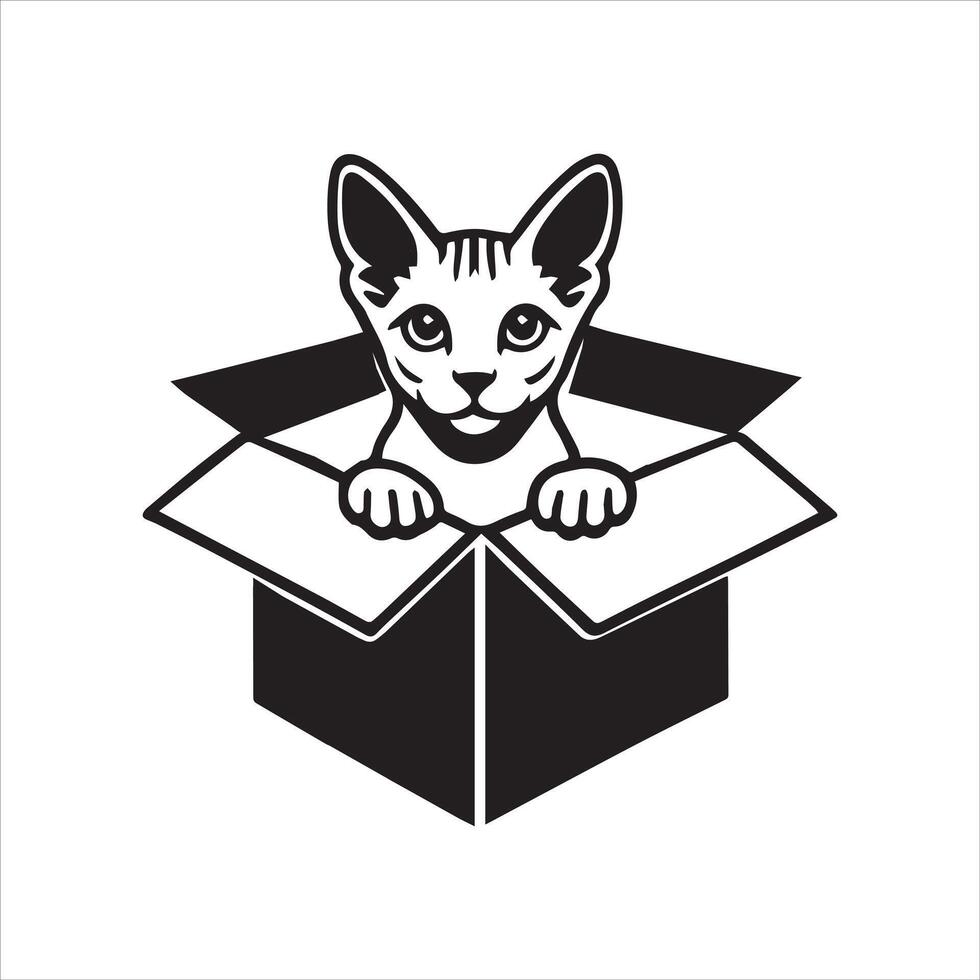 Kitten Peeking from Box with Wonder vector