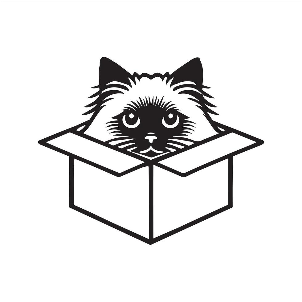 Playful Kitten Peeking from Cardboard Box vector