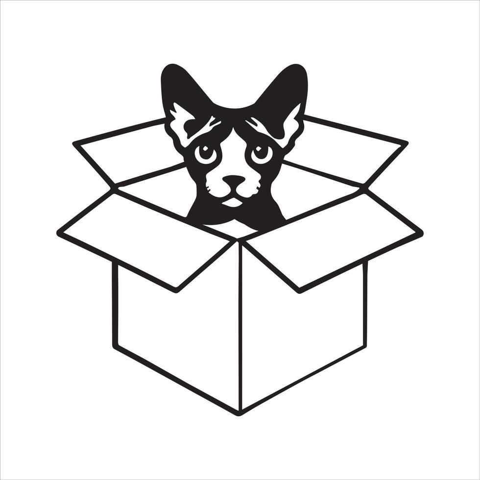 Peeking Cat in a Cardboard Box vector