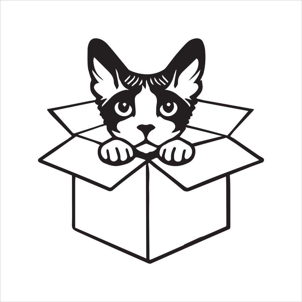 Kitten Peeking from Cardboard Box with Curiosity vector