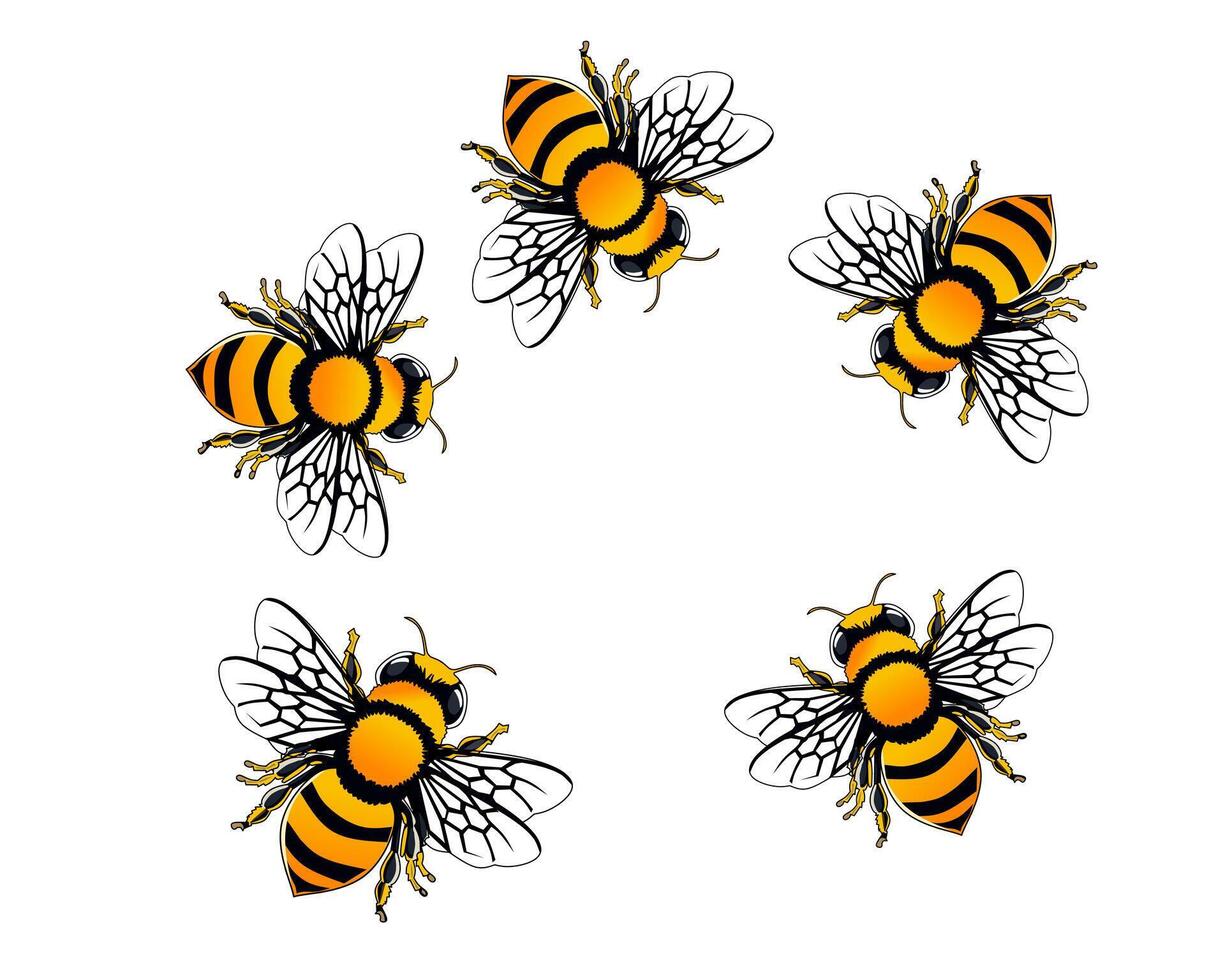 bees in a circle on a white background vector