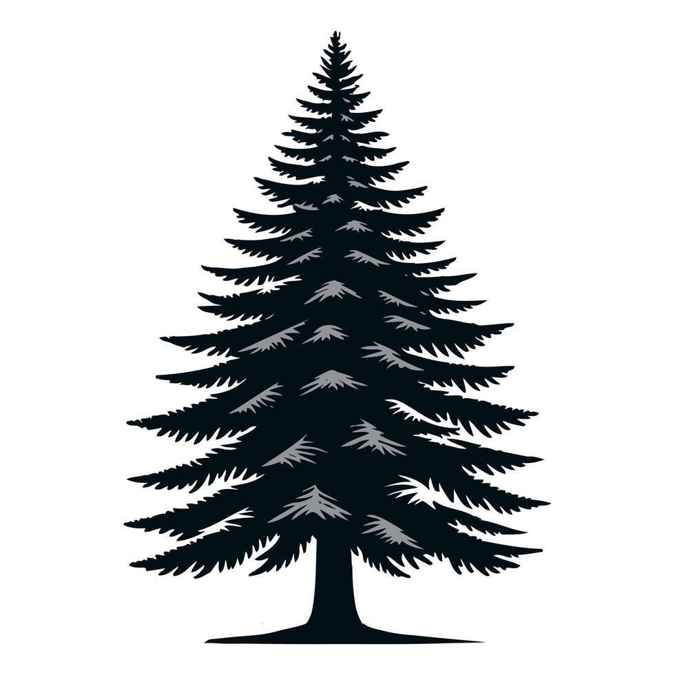 silhouette pine tree with white background vector