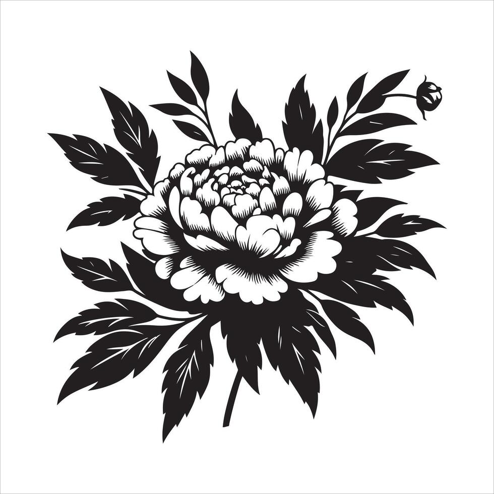 Peony flower EPS file vector