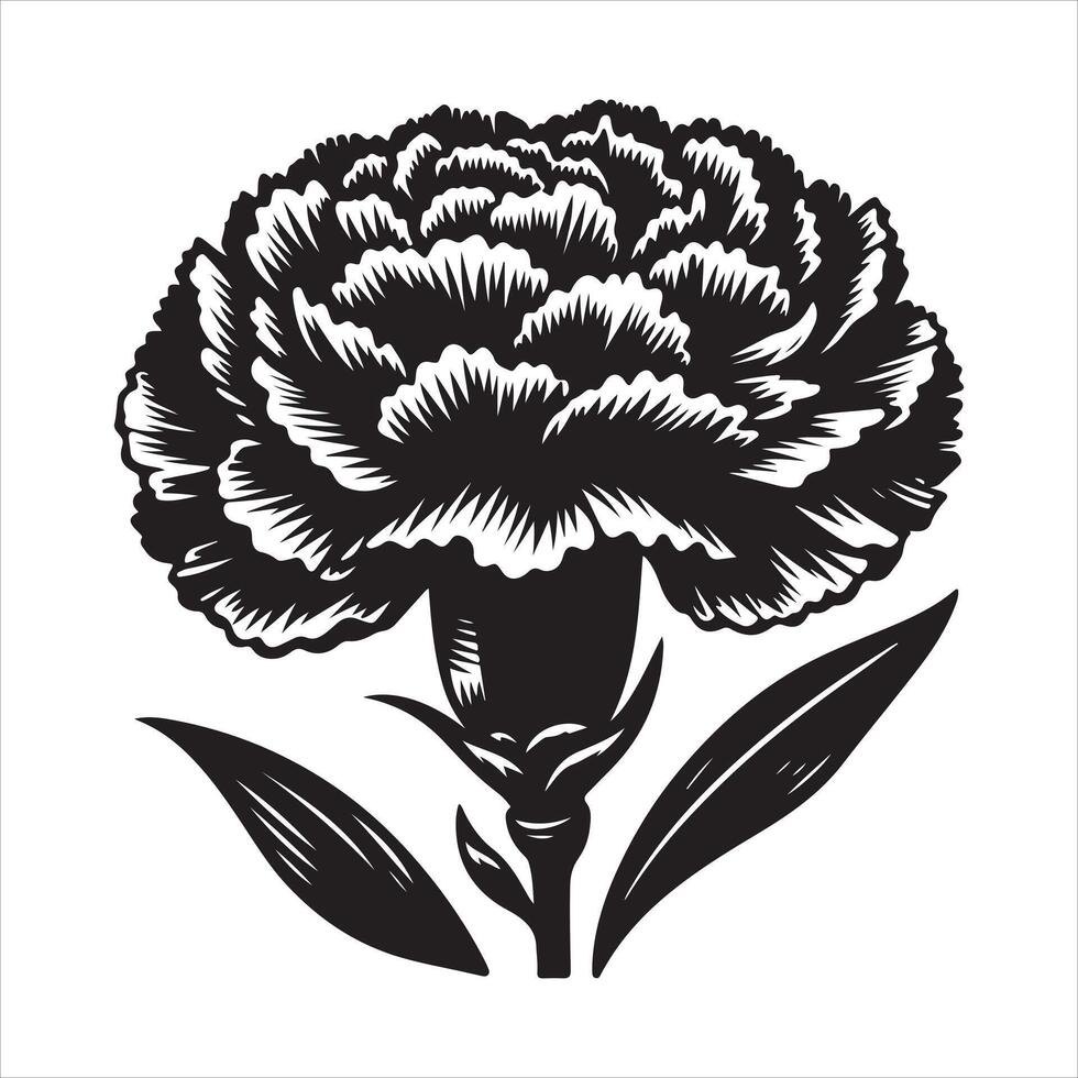Carnation flower design illustration vector