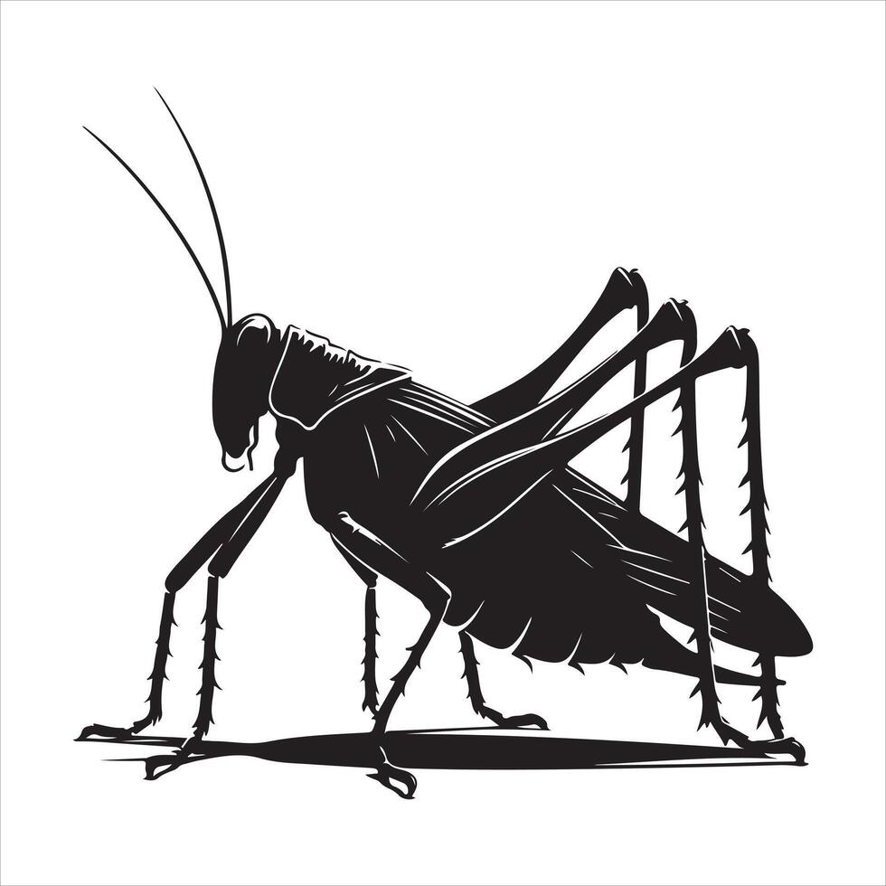 Katydid silhouette, file, Black color printable vector