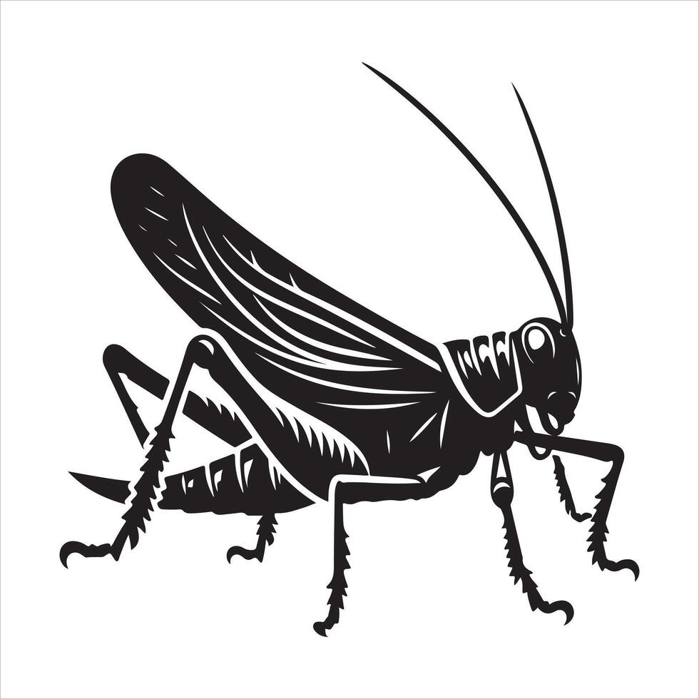Katydid art illustration vector