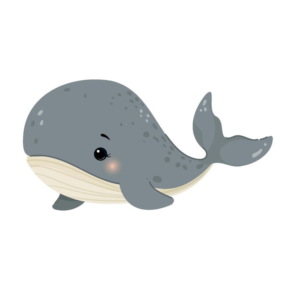 Cute whale. Marine mammal with streamlined body. Beautiful flat whale with happy face isolated on white background. Marine animal, underwater blue whale. For web, cards, prints, clothes. vector