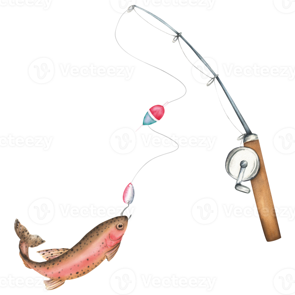 A rod with fishing line and a bobber with rainbow trout. Fishing tackles clipart. Hand-drawn watercolor illustration png