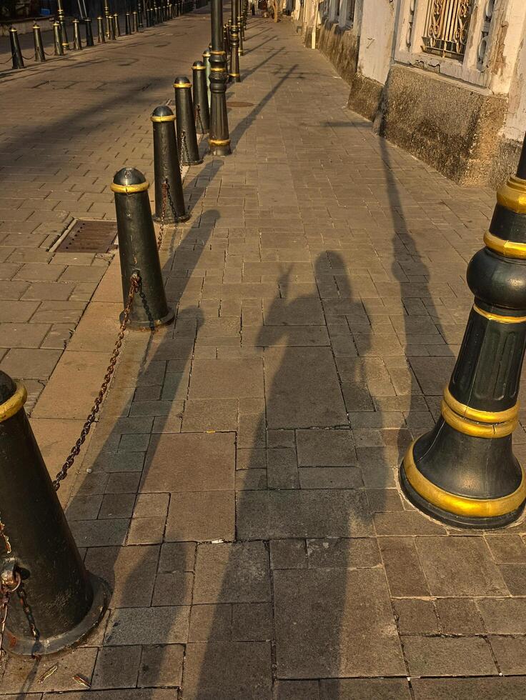 A Tranquil Morning Walk with Shadows Alongside the Street Bollards photo
