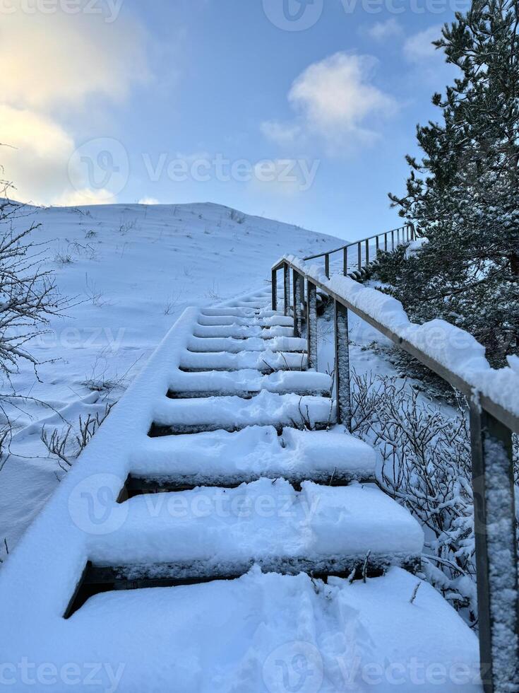 The scene is interesting due to the contrast between the man-made structure of the staircase and the natural winter landscape, as well as the inviting perspective that leads one is eye upwards. photo