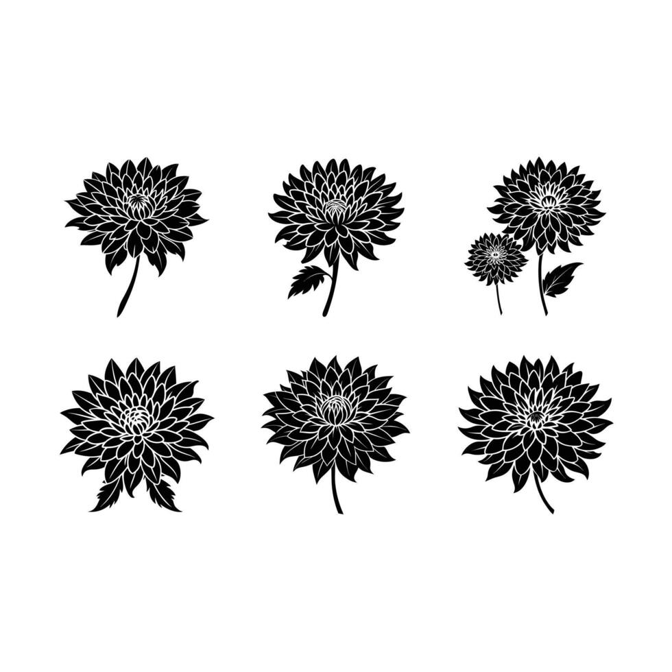 Chrysanthemum and Line Art Design for Graphic Design Projects vector