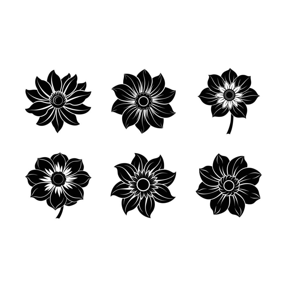 Stunning anemone designs for your creative projects vector