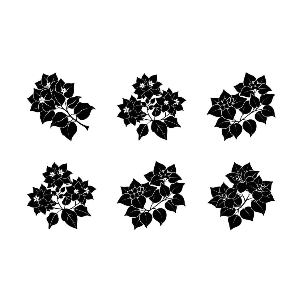 Explore unique bougainvillea graphics perfect for AI designs and line art vector
