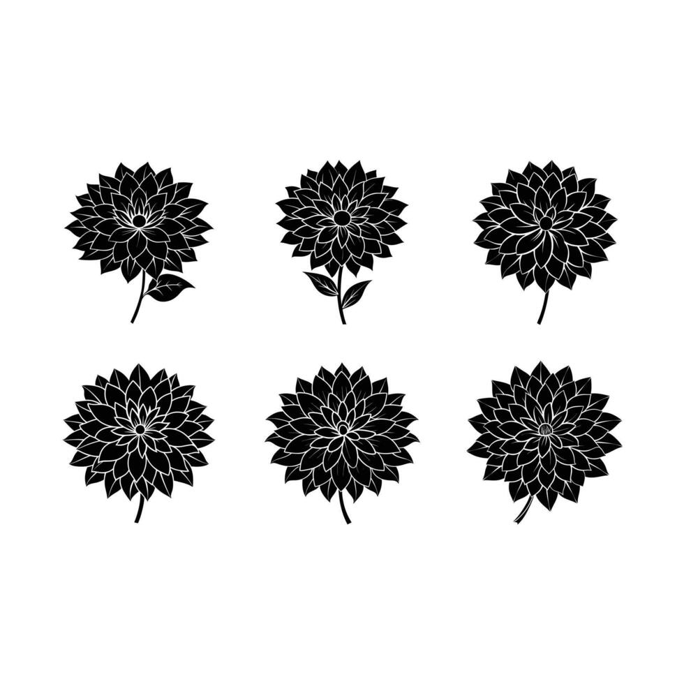 Explore unique dahlia designs with for stunning line art creations vector