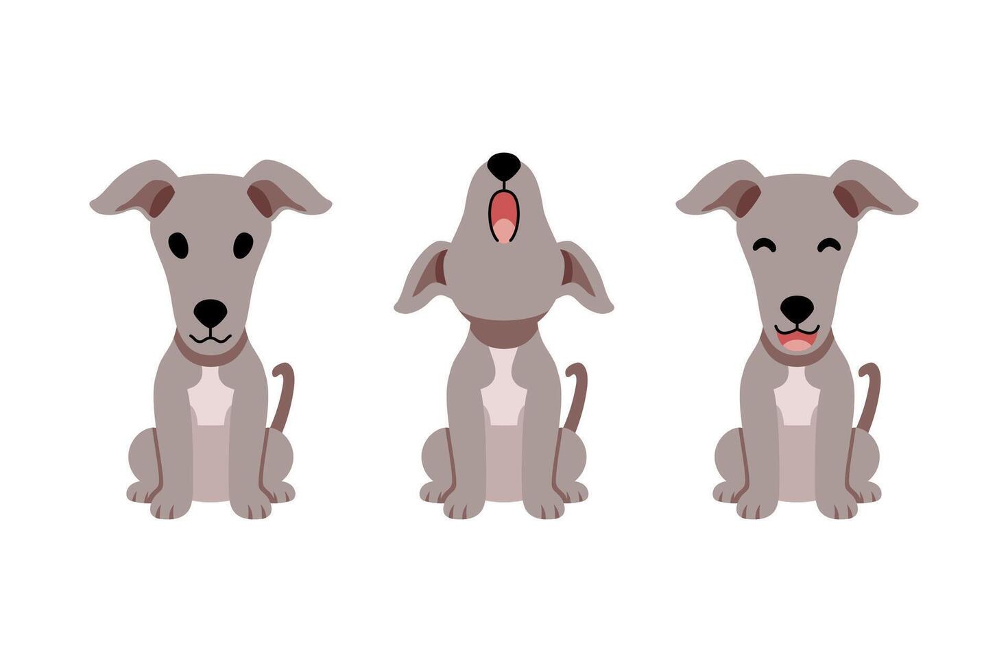 Set of cartoon character greyhound dog vector