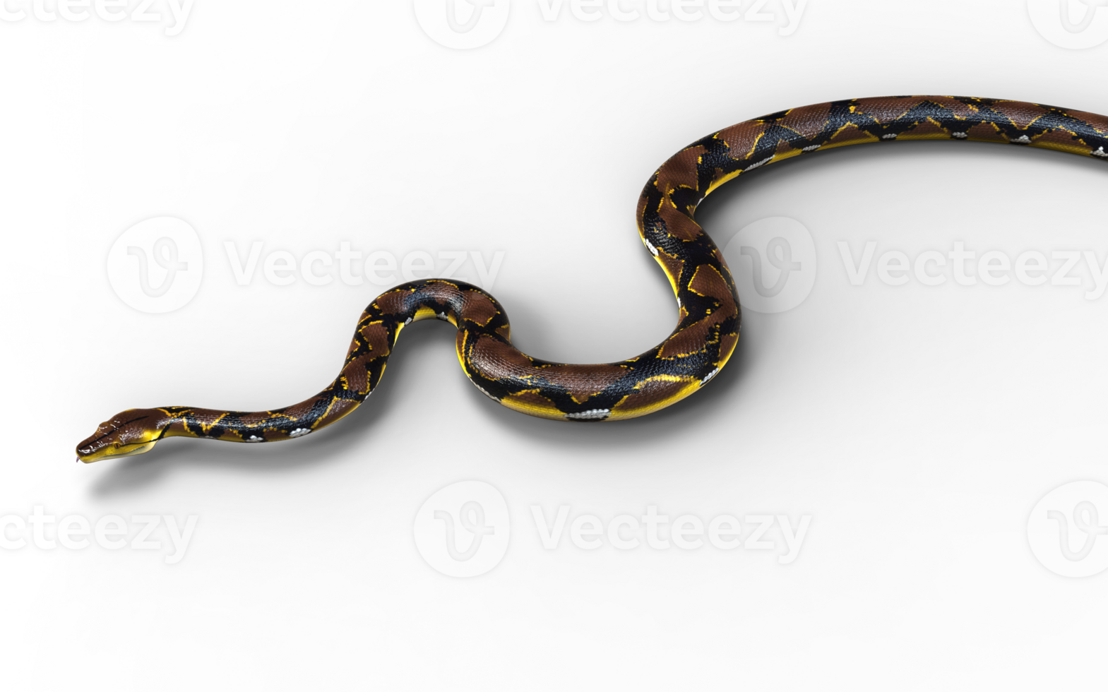 3d Illustration of A Golden Reticulated Python, Boa Constrictor The World's Biggest Snake Isolated Background. png