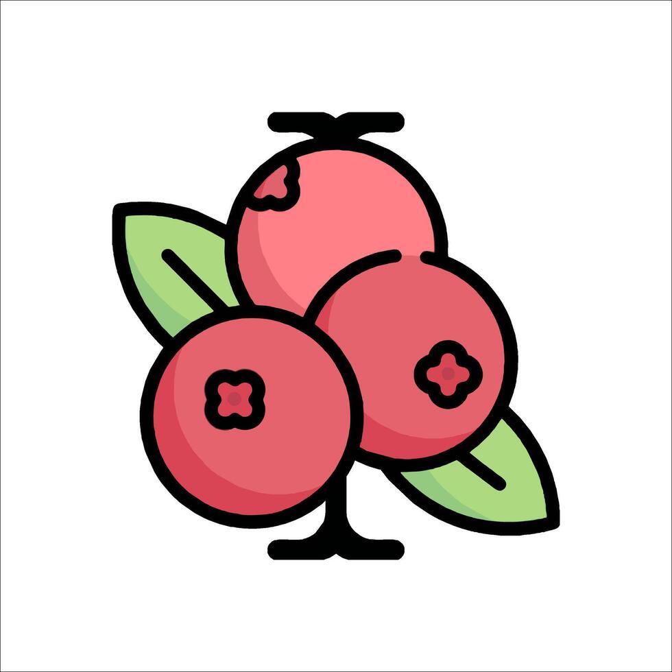 Cranberry fruit icon illustration vector