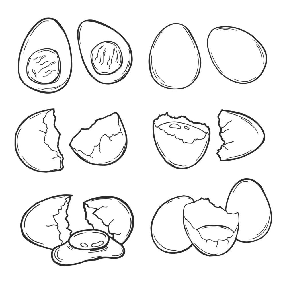 Fresh, boiled and fried eggs, outline icons. Simple broken chicken and quail eggs with cracked eggshell, drawn boiled eggs half and slices illustration. vector