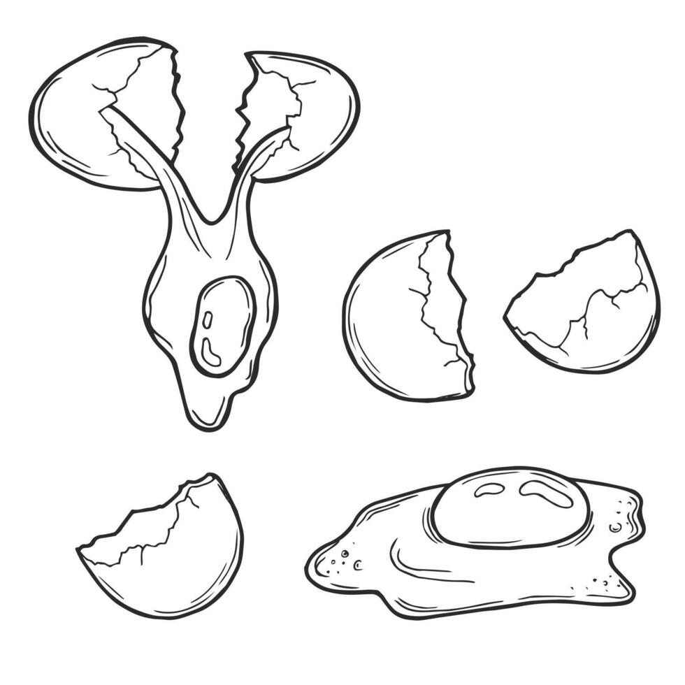 Fresh, boiled and fried eggs, outline icons. Simple broken chicken and quail eggs with cracked eggshell, drawn boiled eggs half and slices illustration. vector