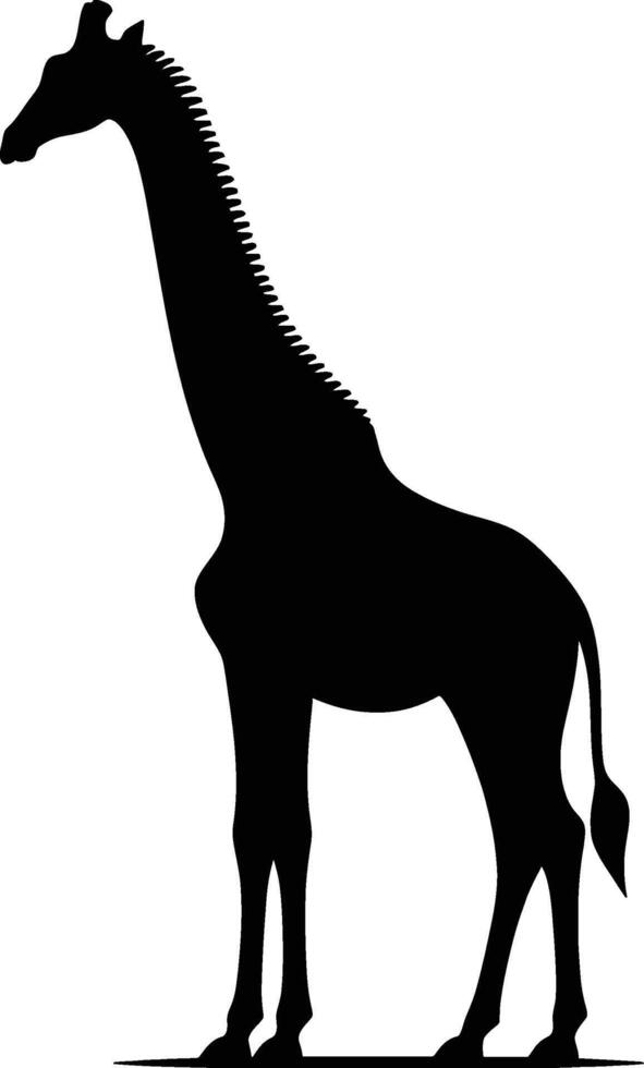 Wild Giraffe Silhouette Illustration on White Background vector