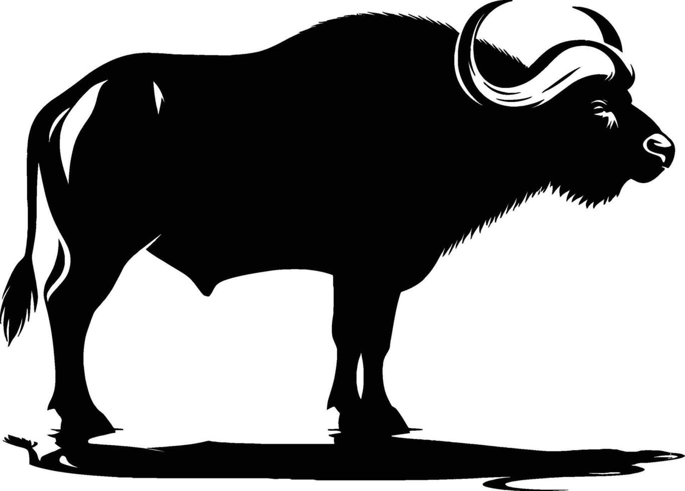 Buffalo Silhouette with Defined Horns on White Background vector